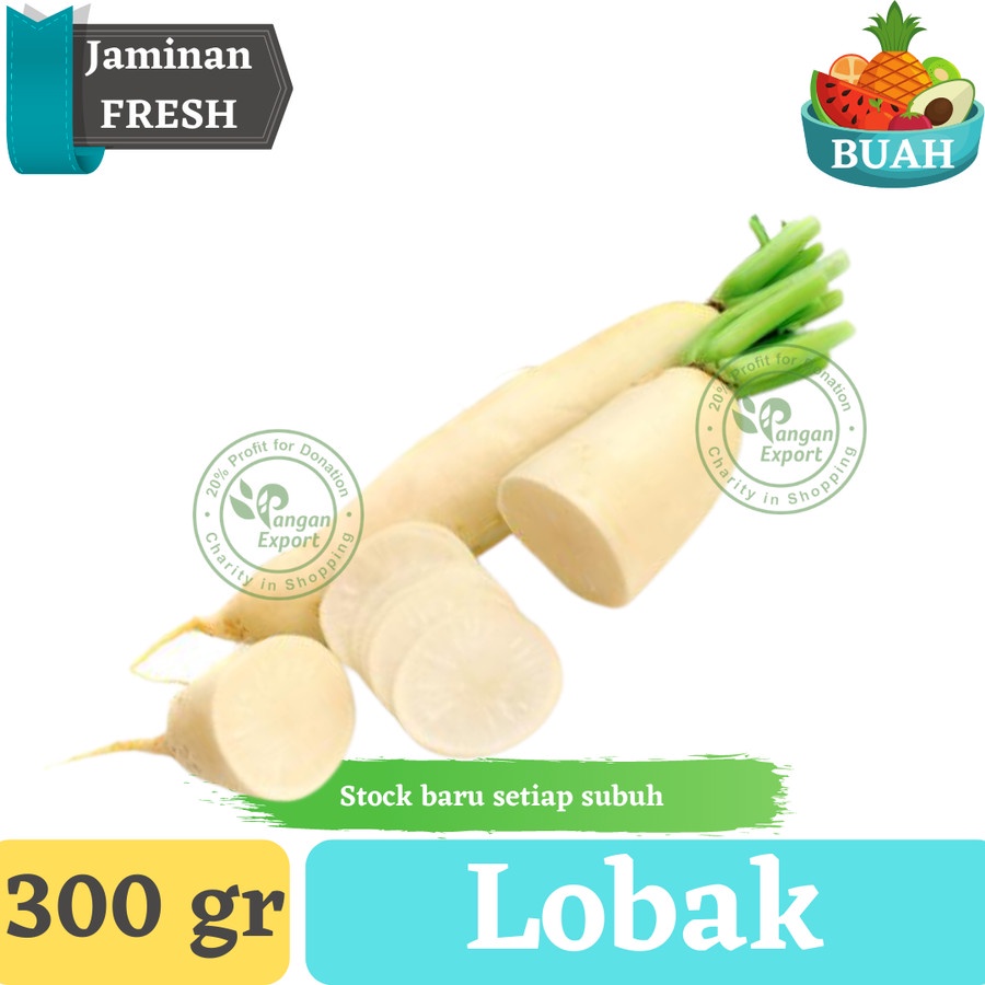 Jual Lobak Putih Premium Radish Buah Bumbu Sayur Masak Dapur Shopee