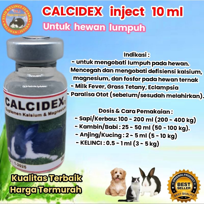 Jual calcidex inject 10 ml untuk hewan lumpuh Kelinci kucing kambing ...
