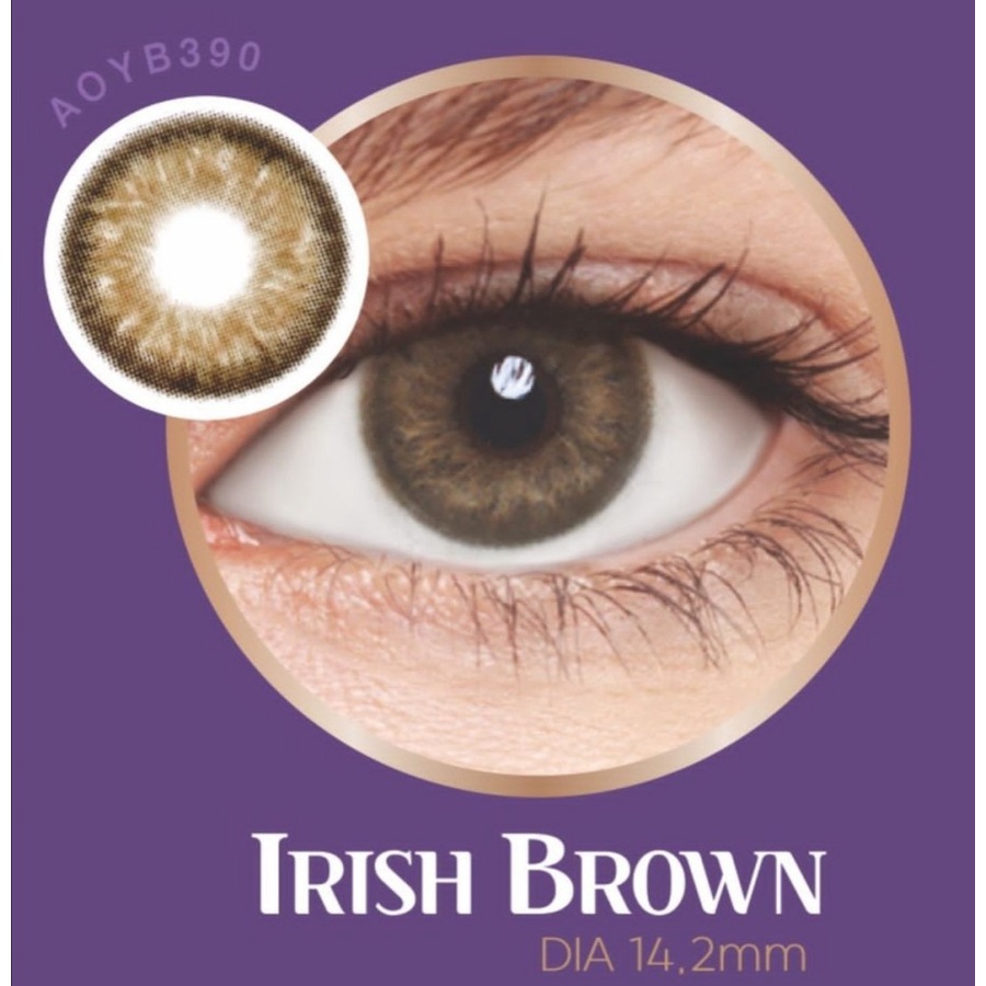 Jual Mikeda - SOFTLENS ARIA IRISH BROWN | Shopee Indonesia