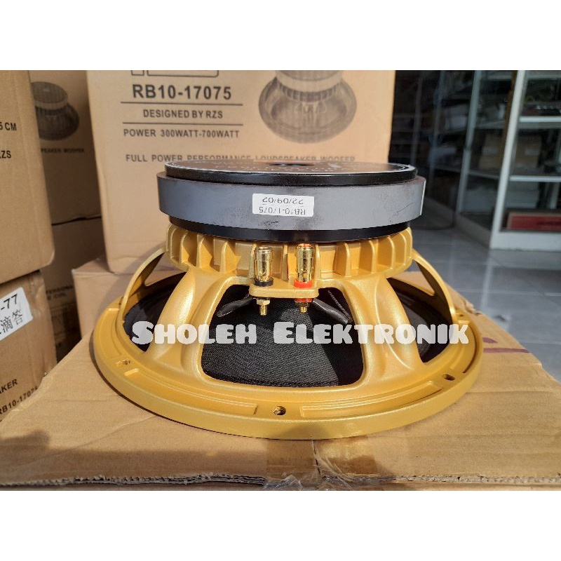 Jual SPEAKER KOMPONEN RZS RB10 10 INCH VC 3 INCH | Shopee Indonesia