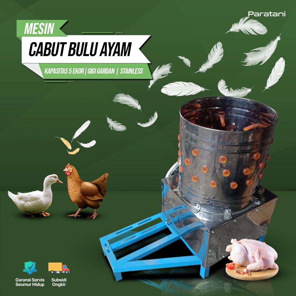 Jual Mesin Cabut Bulu Ayam Stainless 5 Ekor Gigi Gardan Fullset Rangka ...