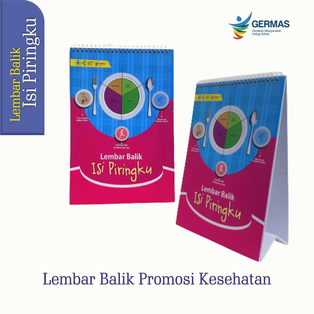 Jual Original Media Edukasi Lembar Balik Isi Piringku Buku Alat Peraga Edukasi Isi Piringku 0975