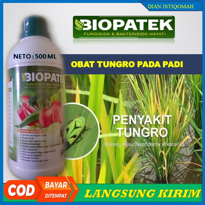 Jual Terbaru BIOPATEK Fungisida Dan Bakterisida Hayati Obat Semprot