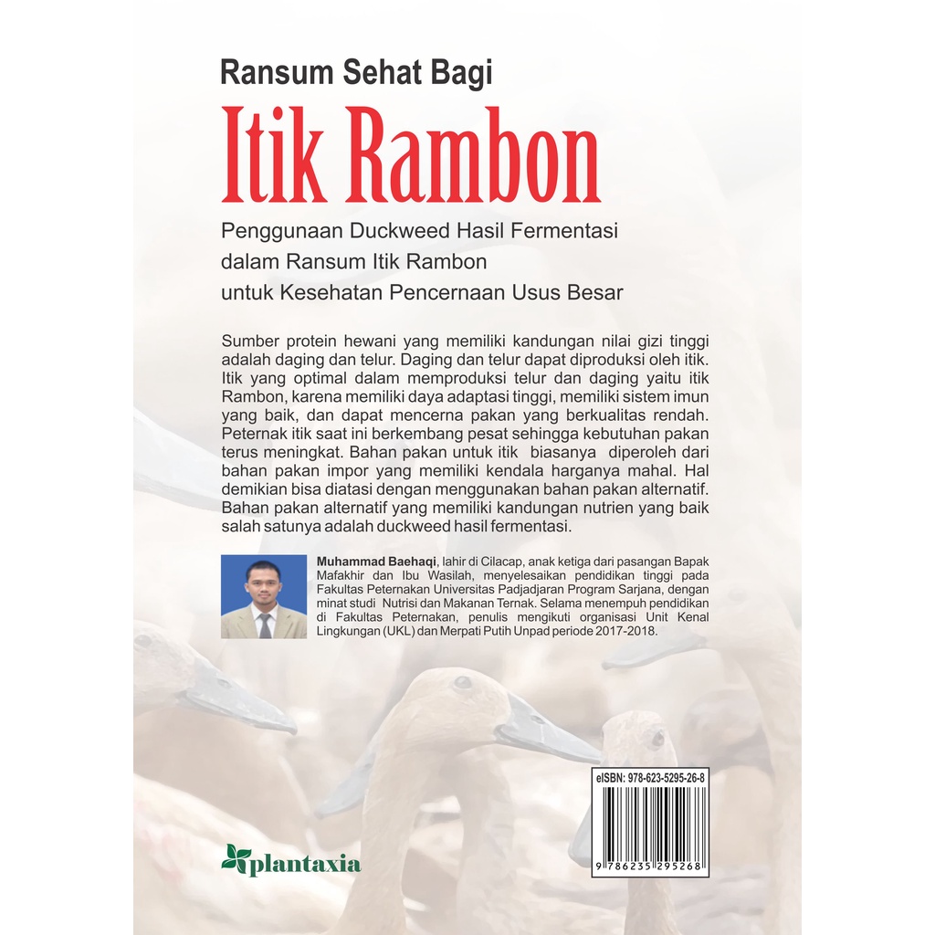 Jual Ransum Sehat Bagi Itik Rambon; Penggunaan Duckweed Hasil ...