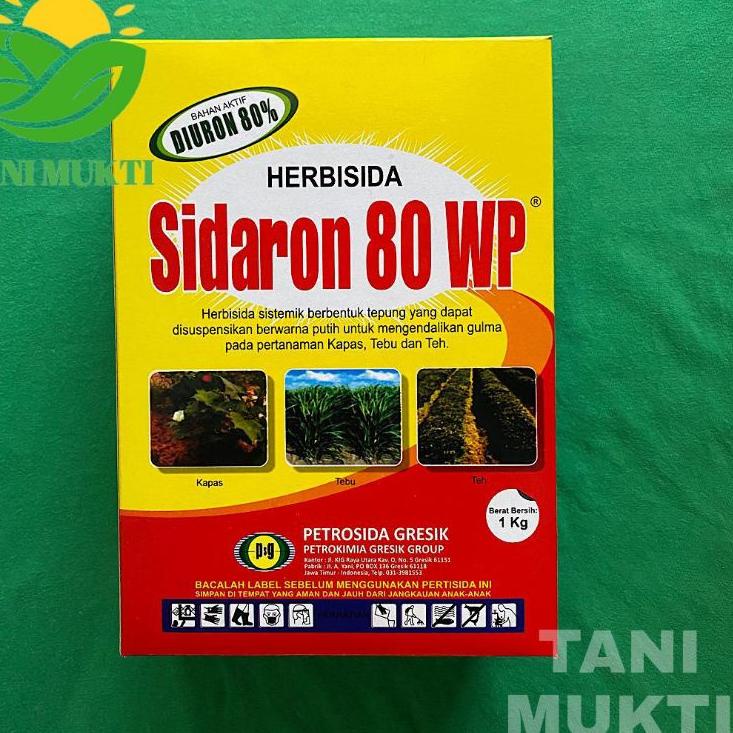 Jual Wjil Herbisida Racun Pembasmi Rumput Obat Rumput Sidaron Wp