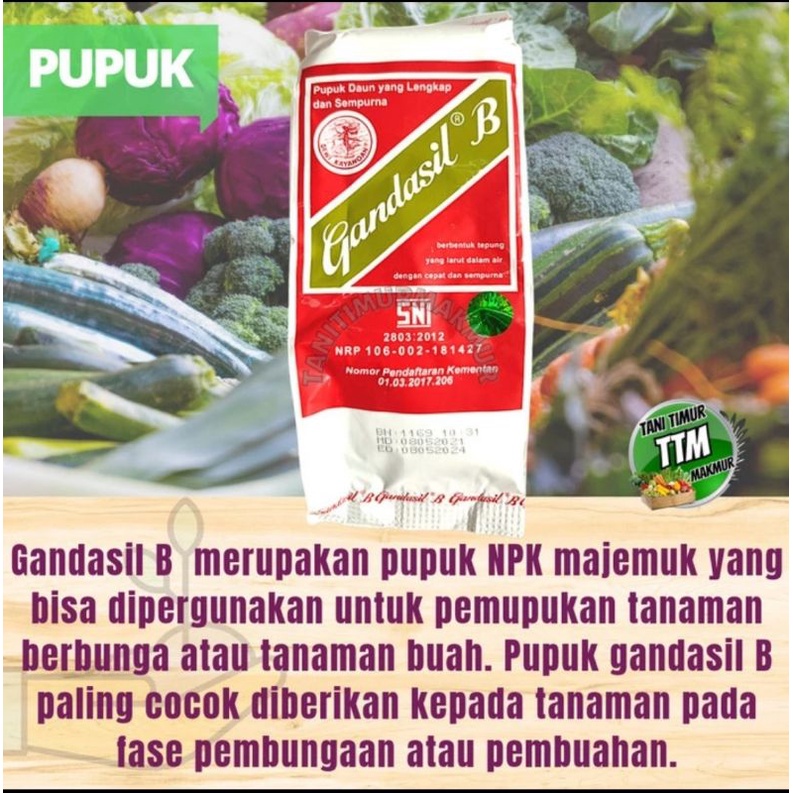 Jual GANDASIL B 100 GRAM PUPUK BUAH DAN BUNGA | Shopee Indonesia