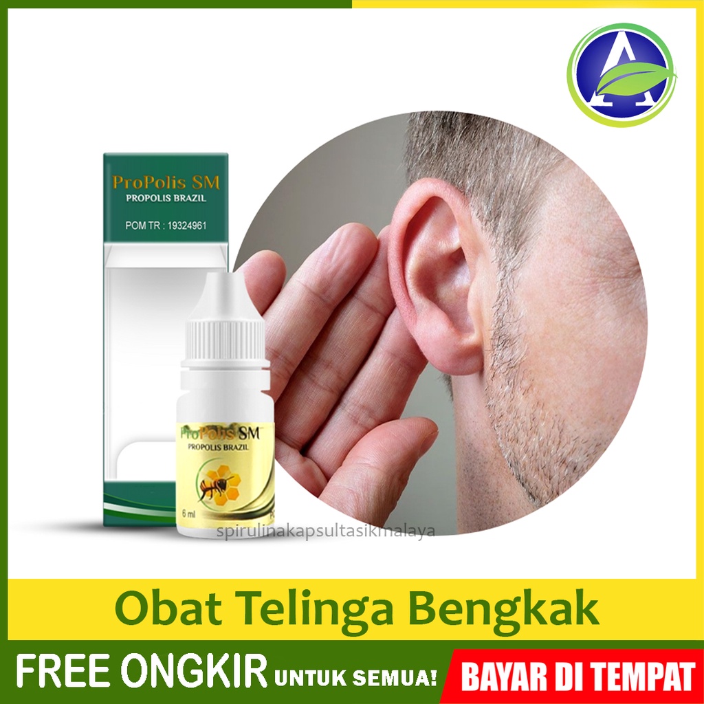 Jual Obat Telinga Bengkak dan Nyeri Telinga Meradang Pembengkakan ...
