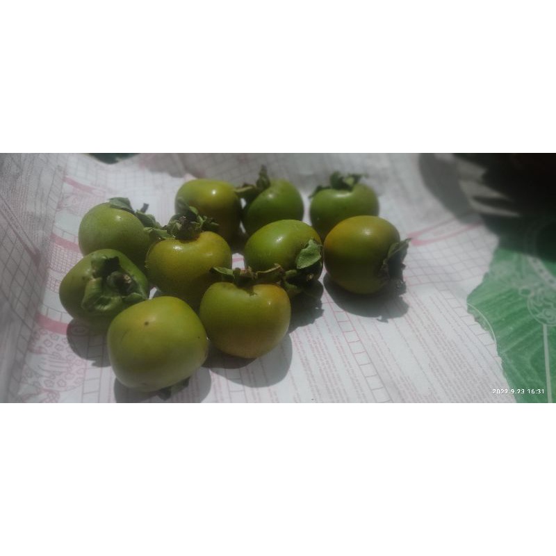 Jual Buah Kesemek Buah Genit Buah Segar | Shopee Indonesia