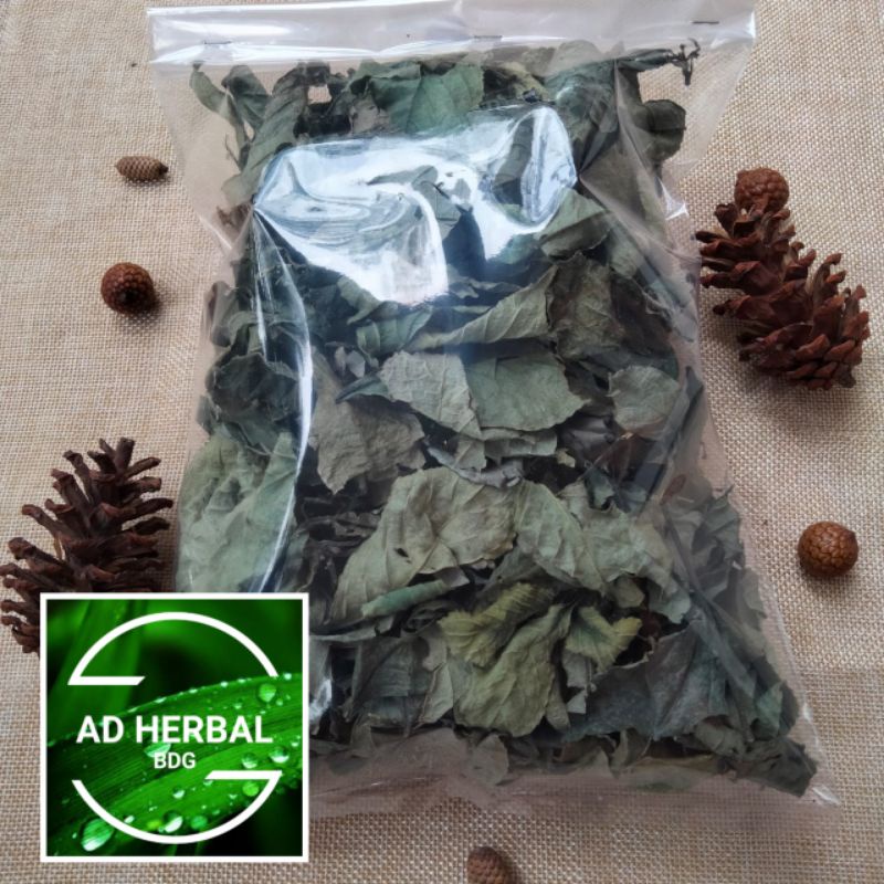 Jual Daun Keji Beling Kering Daun Pecah Beling Rempah Herbal Kecing ...