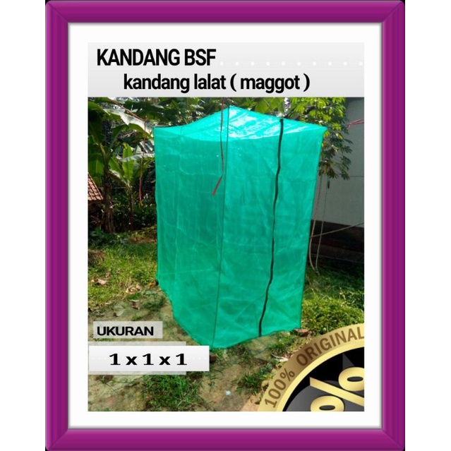 Jual kandang bsf 1x1x1 jaring lalat magot siap pakai | Shopee Indonesia