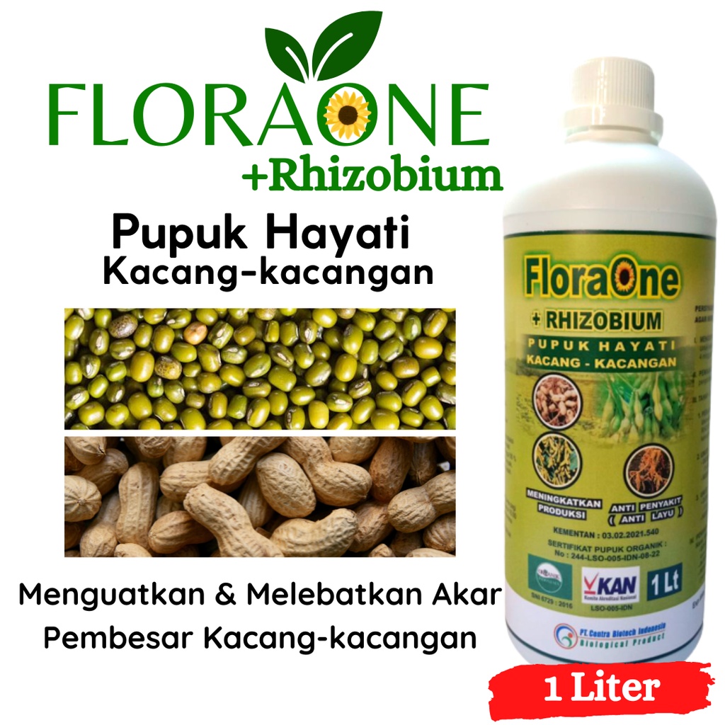 Jual Pupuk Kacang Tanah Hasil Melimpah, Pupuk Hayati Cair Rhizobium ...