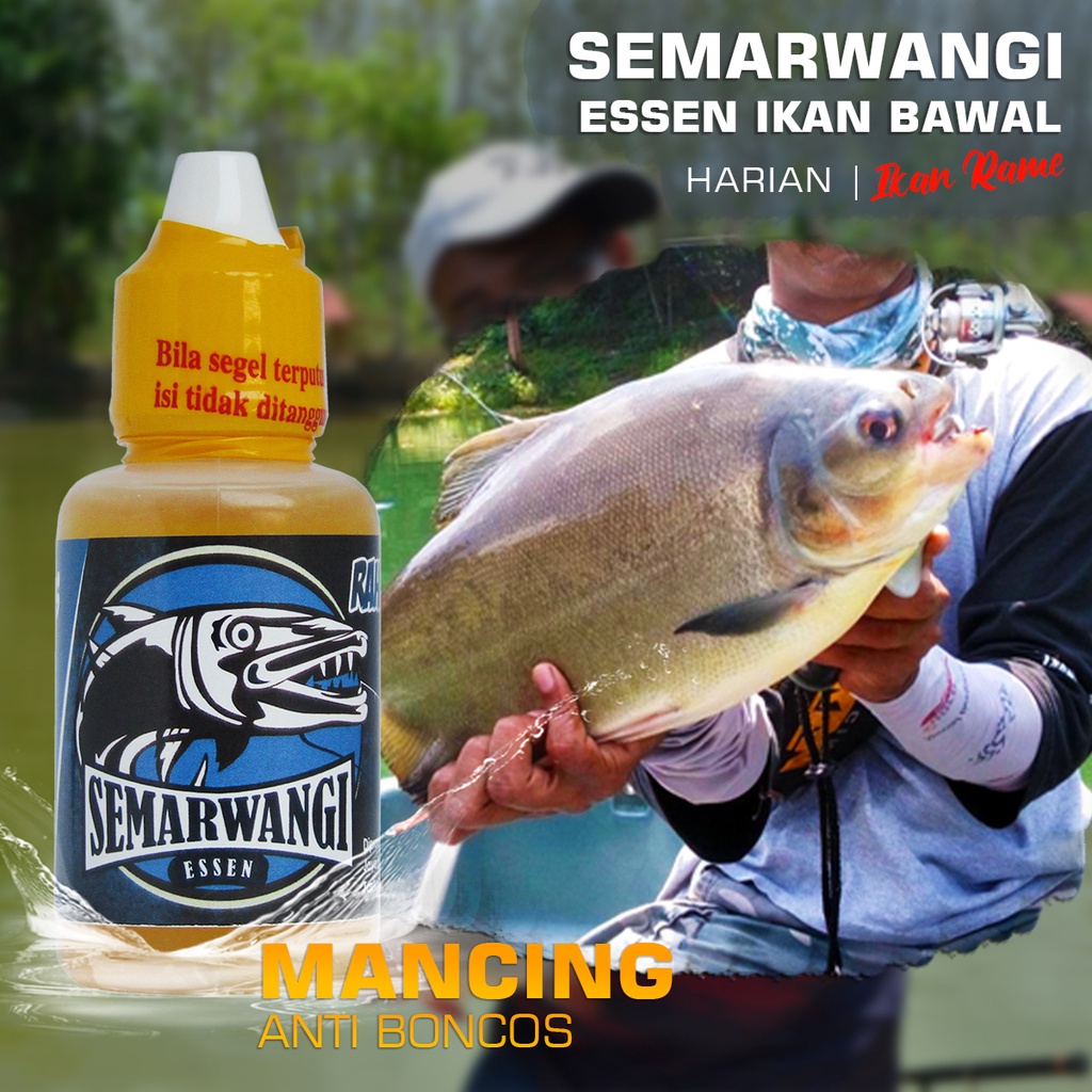 Jual Semarwangi Essen Ikan Mas Harian Lomba Dibawah 1kg Kemasan 30ml