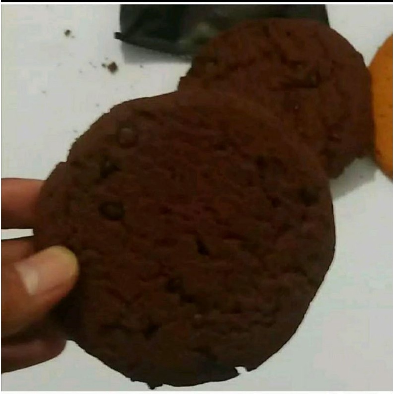 Jual PROMO RANSUM BISCUIT PROFORTIS 3 RASA COKLAT KEJU VANILA EXP 31 ...