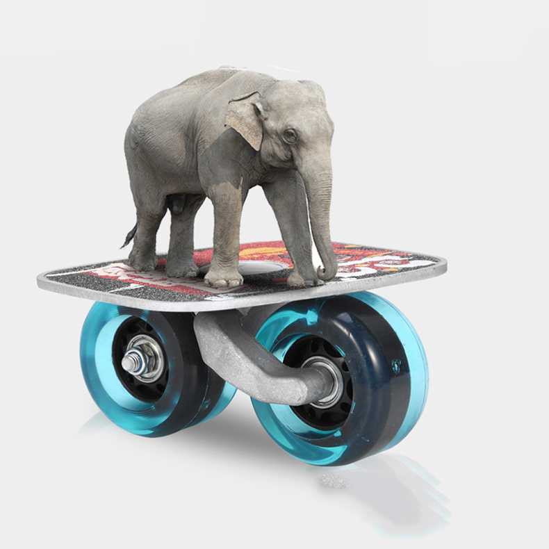 Freeline Skate Indonesia : IFS ( Indonesia Freeline Skates ) – EUOL