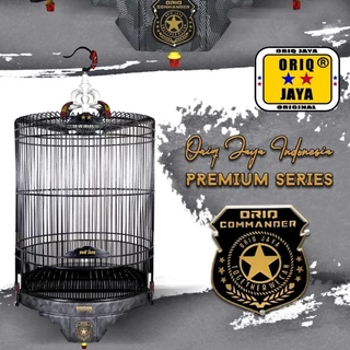 Plyajda rus yalangoch qizlar video Amputatsiya qilingan ayollar bilan onlayn jinsiy aloqa