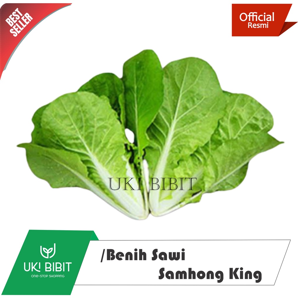 Jual 10 Gram Benih Sawi Samhong King Batang Putih Shopee Indonesia