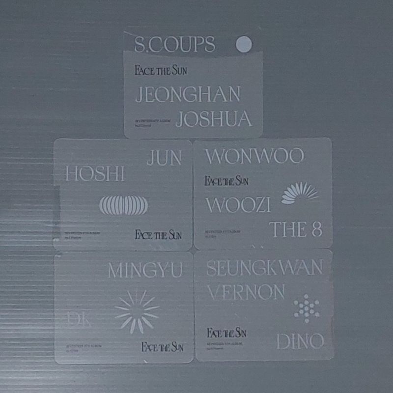 Jual [Ready] Seventeen Face The Sun Pet card Name card Clear card