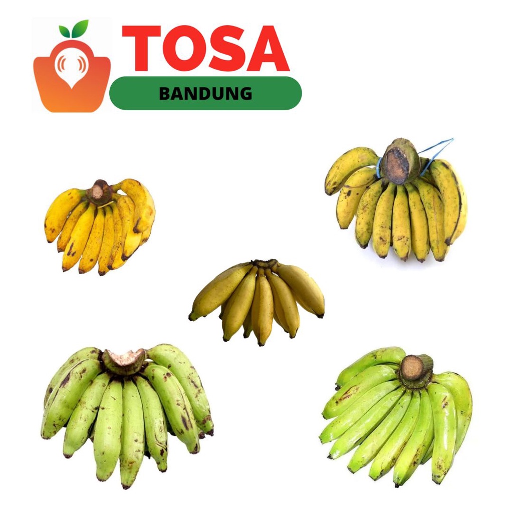 Jual Pisang Ambon Pisang Nangka Pisang Raja Bulu Pisang Raja Sere Pisang Muli Pisang Tanduk