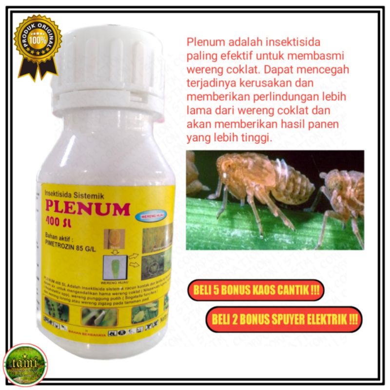 Jual Insektisida Plenum | Obat Hama Wereng | Obat Wereng | Bureng ...