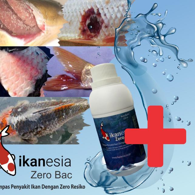 Jual Ikanesia Zero Bac 250 ml ampuh untuk penyakit ikan | Shopee Indonesia