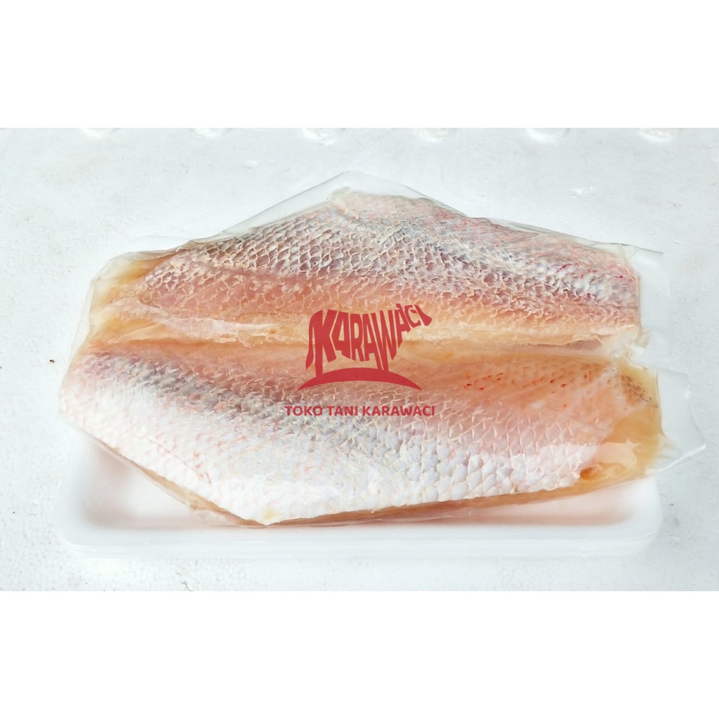 Jual Ikan Kakap Merah Fillet / Red Snapper Fillet @500gr - PREMIUM ...
