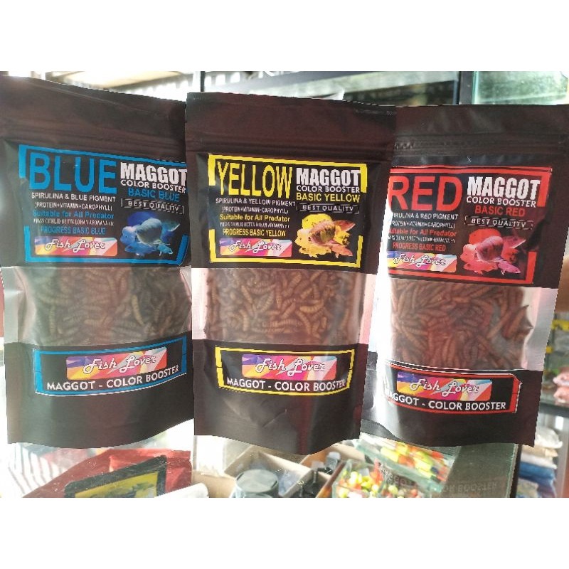 Jual Maggot fish lover, makanan ikan maggot, pakan ikan channa maggot ...