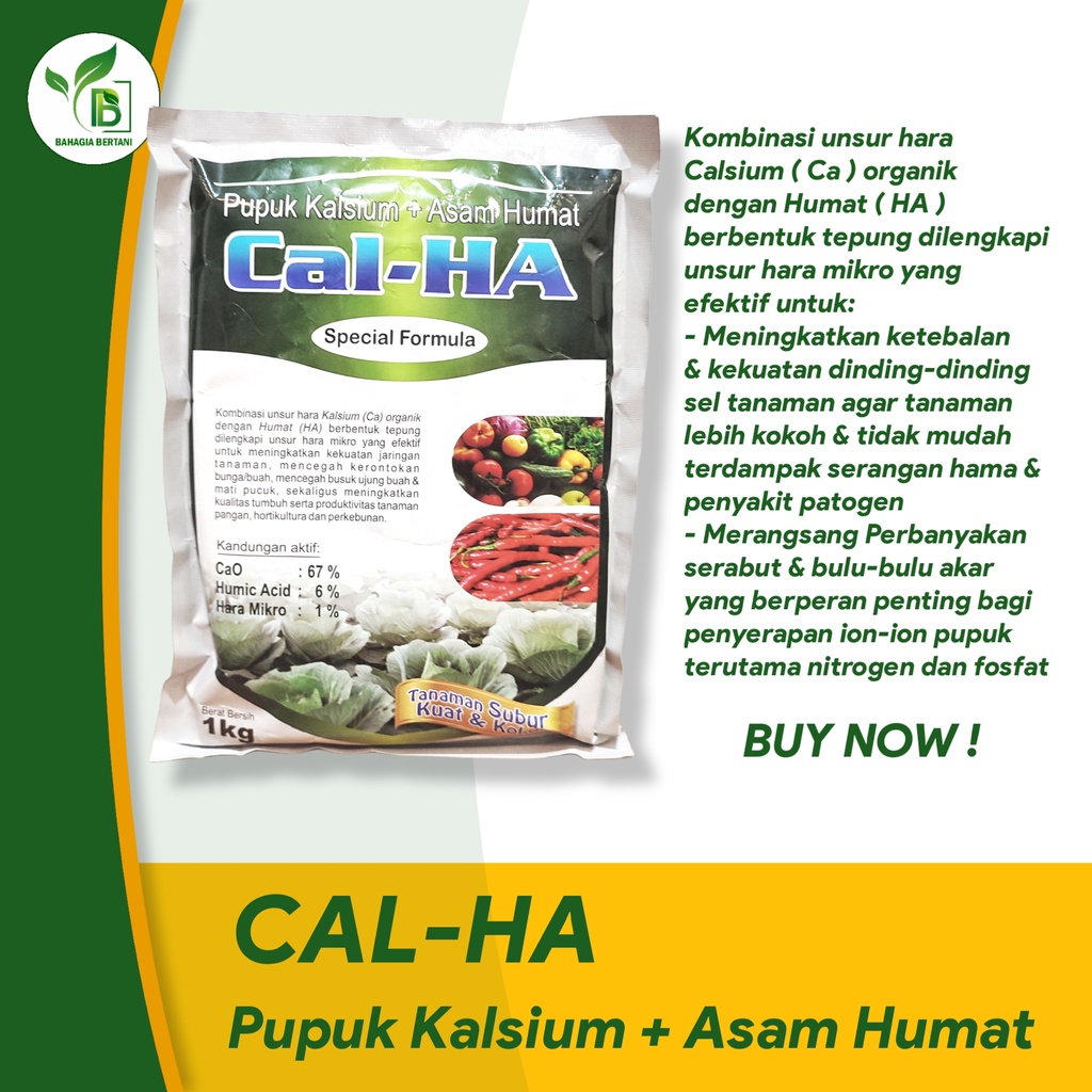 Jual CAL-HA 1 KG | calha | Pupuk Kalsium + Asam Humat | Shopee Indonesia