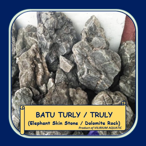 Jual ORNAMEN AQUASCAPE - BATU TURLY / TRULY / ELEPHANT SKIN STONE ...