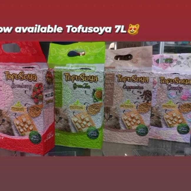 Fortune Japanese Silken Tofu ST30 300g | Amazing Oriental