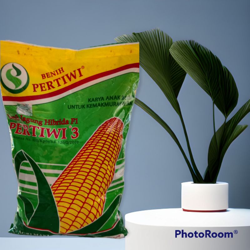 Jual Benih Jagung Hibrida F1 Pertiwi 3 Kemasan 1kg | Shopee Indonesia