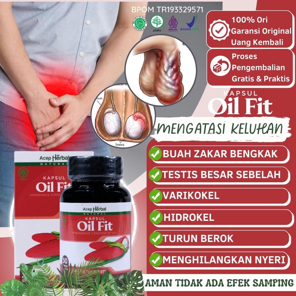 Jual Obat Buah Zakar Bengkak Sebelah Kanan Varikokel Hidrokel Testis