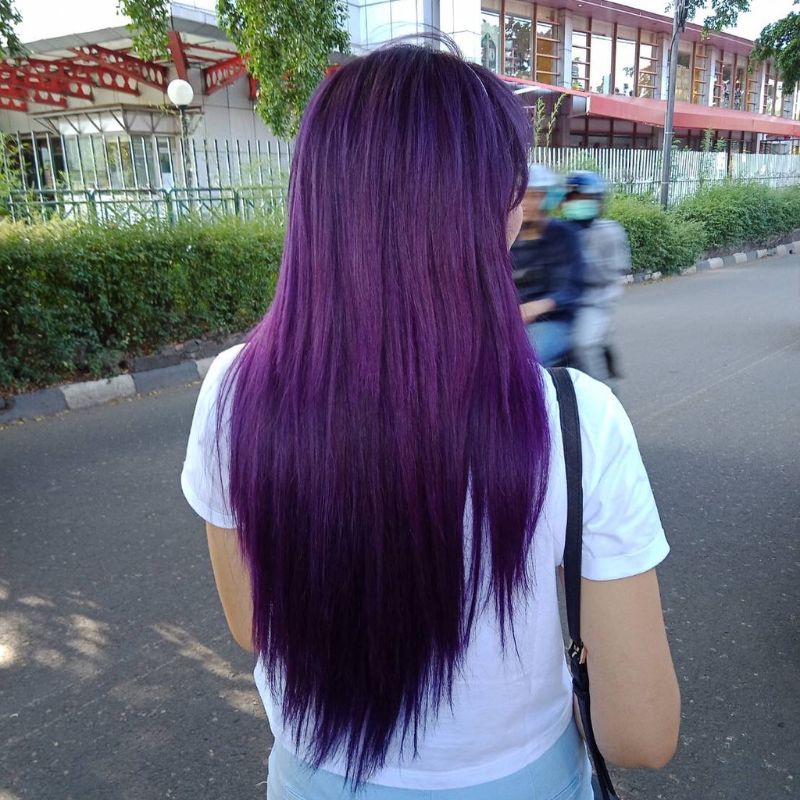 Jual Cat Rambut Pravana Vivids Violet Share In Jar (30ml) | Shopee ...