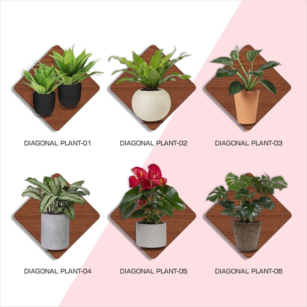 L18Production Hiasan Dinding Pajangan Wall Decor Diagonal Naturally Wood Tropical Plant  Size 15 cm