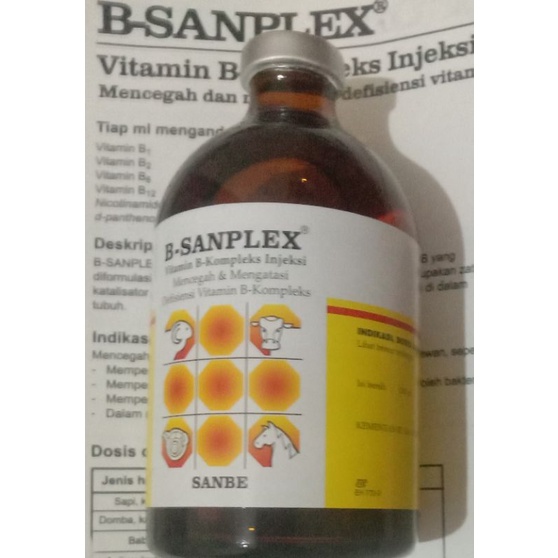 Jual B-SANPLEX INJEKSI 100 ML ( SANBE ) | Shopee Indonesia