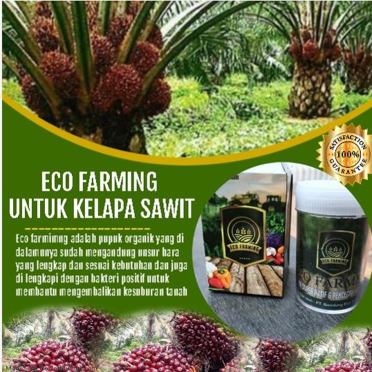 Jual Terlaris Paket Tube Pupuk Eco Farming Original Pupuk