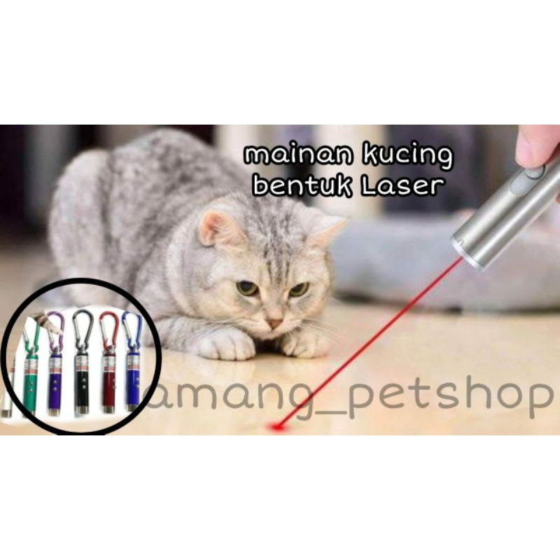 Jual Mainan Kucing Laser | Shopee Indonesia