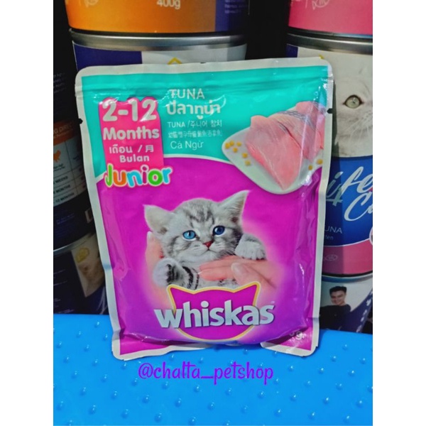 Jual Whiskas Junior Kitten Pouch 80gr / makanan basah kitten kucing