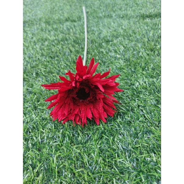 Jual bunga garbera | Shopee Indonesia