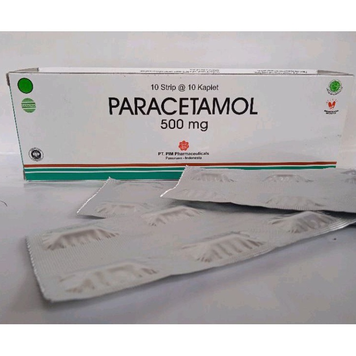 Jual PARACETAMOL 500mg Per Strip Isi 10 Tablet | Shopee Indonesia