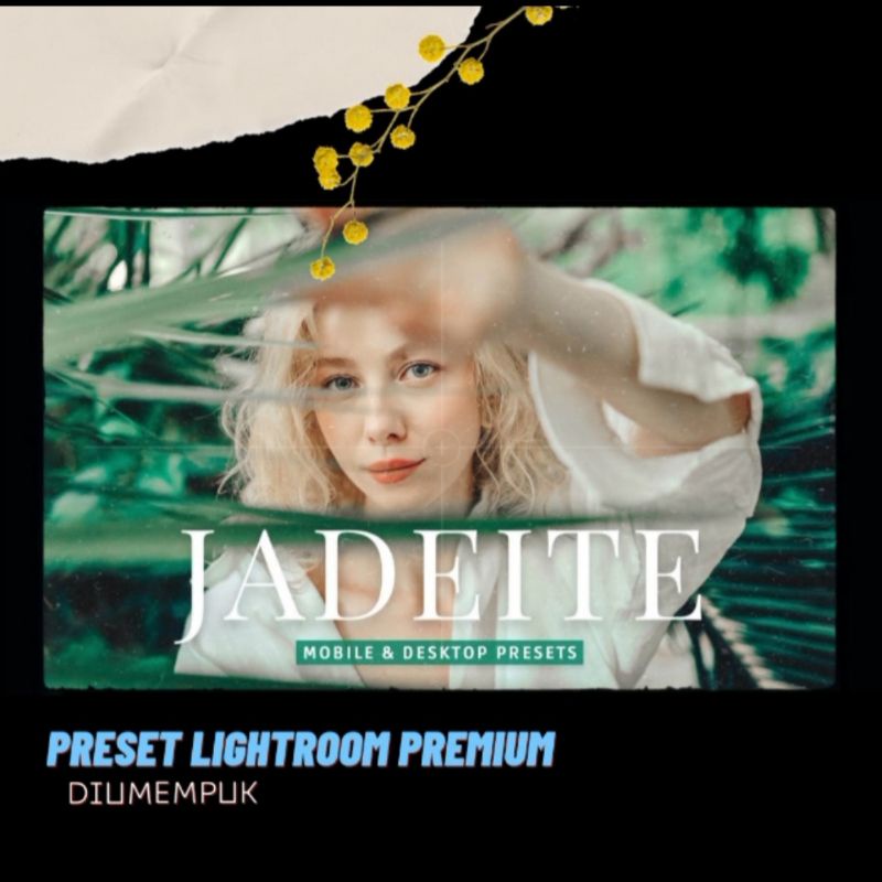 Jual Lightroom Premium Jadeite Pro Untuk Presets Isi File Android Ios Shopee Indonesia