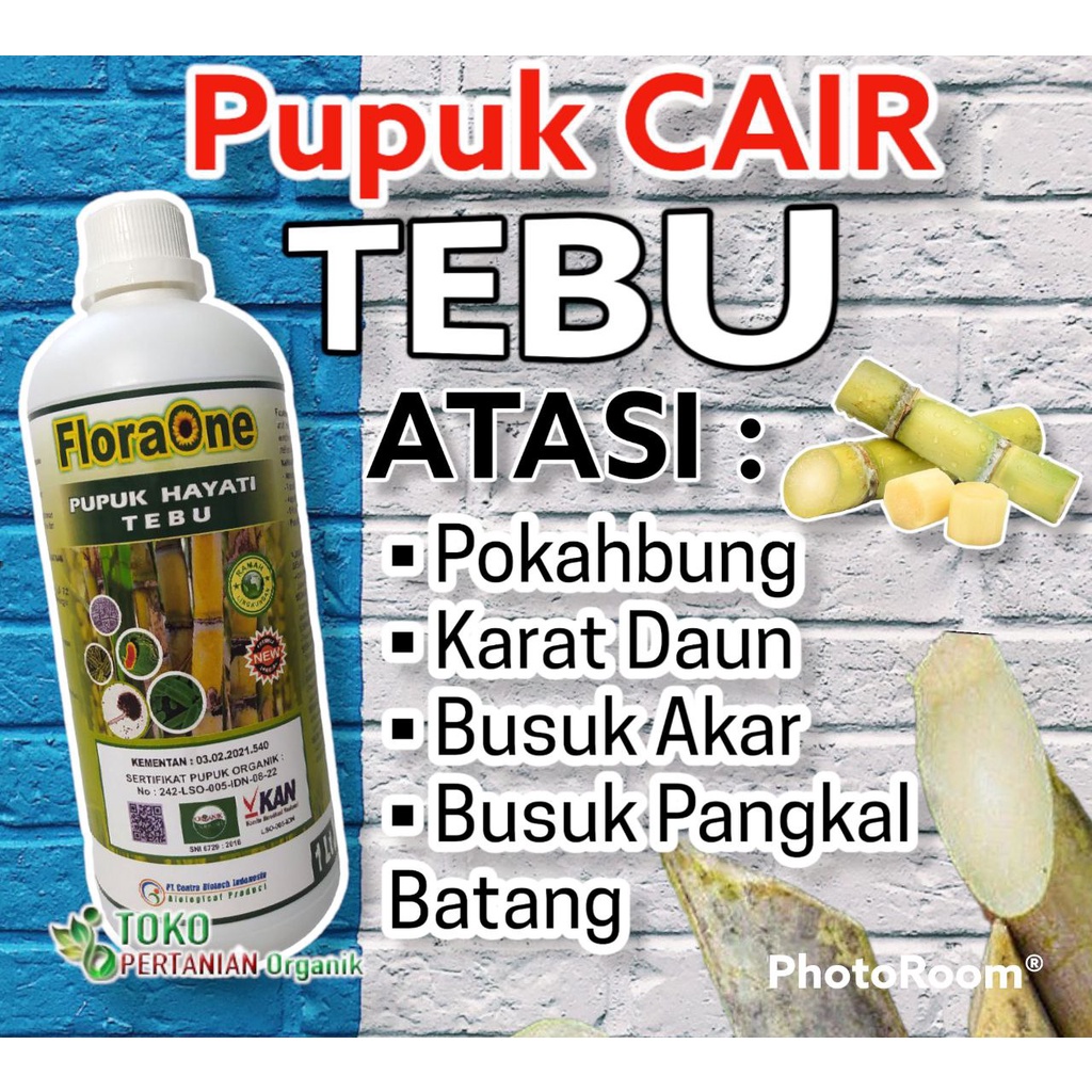 Jual Pupuk Hayati Pembesar Batang Tebu 1 L Fungisida Floraone Tebu Supaya Cepat Besar Anti 2923