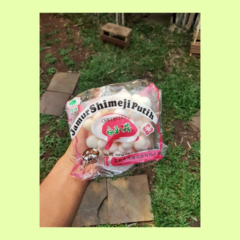 Jual Jamur shimeji putih / jamur fresh Shopee Indonesia