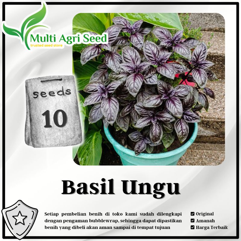 Jual 10 Biji Benih Basil Ungu Bibit Herb Dark Opal Basil Shopee Indonesia