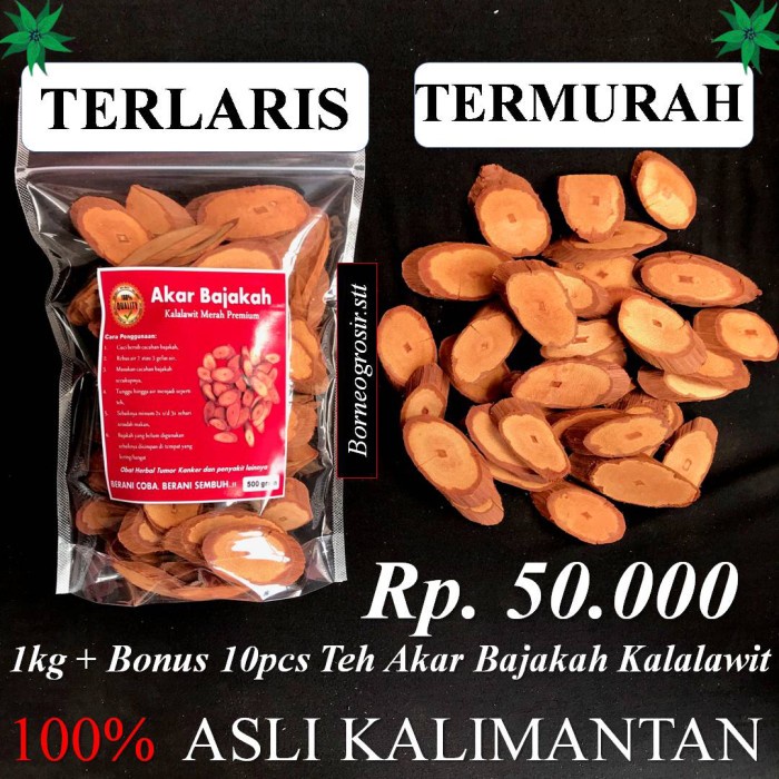 Jual Akar Bajakah Kalalawit Merah Asli Kalimantan 1kg Shopee Indonesia 2005