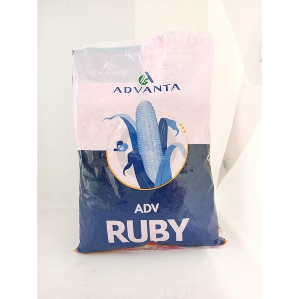 Jual Benih Jagung ADV RUBY 777 isi 1KG dari ADVANTA | Shopee Indonesia