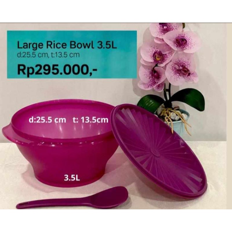 Jual large rice bowl | Shopee Indonesia
