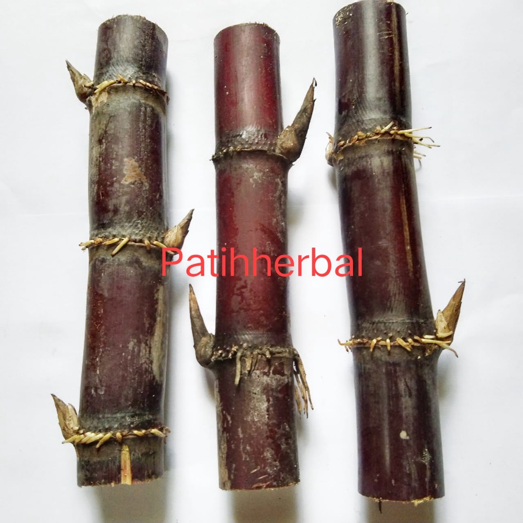 Jual Bibit Tebu Ireng Atau Tebu Hitam Asli Per Batang Harga Per 2 Batang Shopee Indonesia 6823