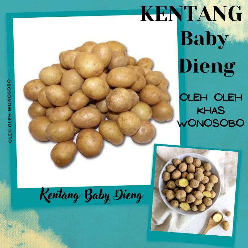 Jual KENTANG BABY DIENG Shopee Indonesia