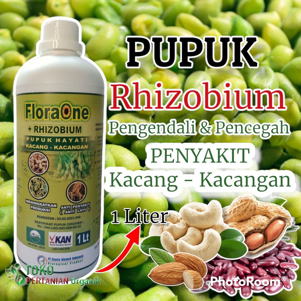 Jual Pupuk Rizobium Sp untuk kacang panjang, Fungisida Hayati Cair ...