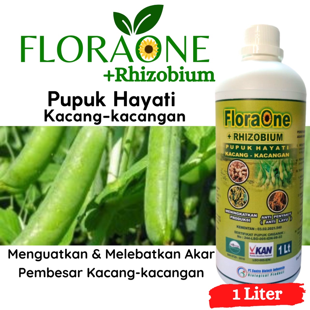 Jual Pupuk Rhizobium Untuk Tanaman Kedelai, Pupuk Kacang Berbuah Lebat ...